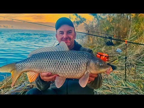 Видео: РЫБАЛКА С НОЧЁВКОЙ! САЗАН РВЁТ СНАСТИ! НОВЫЙ РЕКОРД НА ЗАКИДУШКИ! (ДОНКИ) Шикарная кухня