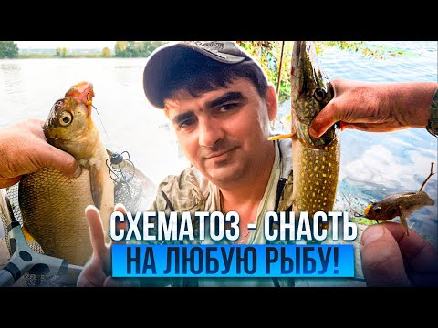 Видео: СХЕМАТОЗ - снасть на ЛЮБУЮ рыбу!