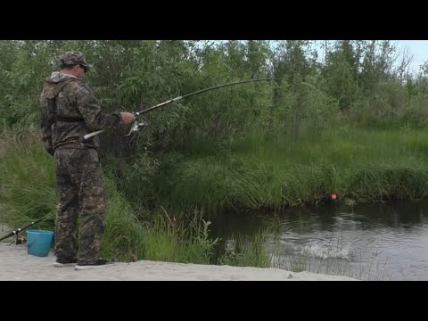 Видео: Надербанил рыбу с тазика в болоте!!! Не ожидал что в этой луже столько рыбы🤔!! Летняя рыбалка 2022 г