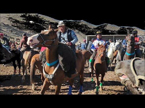 Видео: Чаткал/ Сумсар аламан улак. Оюн алдында.