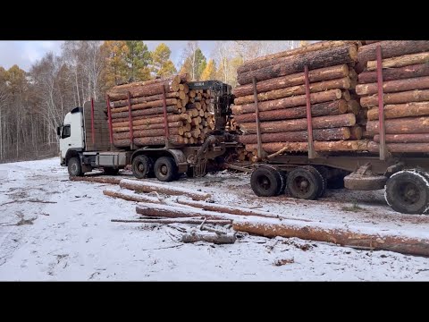 Видео: Volvo лесовоз.Первый снег ❄️