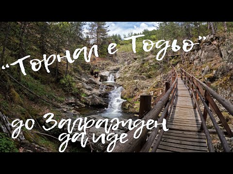 Видео: "Торнал е Тодьо" до Загражден да иде - Travel vlog ден 2 - Happy Green Family еп.20