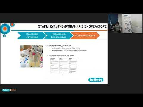 Видео: Оптимизация получения рекомбинантных белков в бактериях (биореакторы и ферментеры)