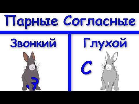 Видео: Начальная школа. 1 класс. Парные согласные. Profi-Teacher.ru