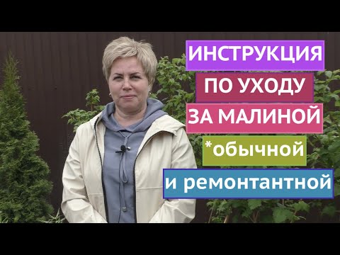 Видео: ВСЕ ОБ УХОДЕ ЗА МАЛИНОЙ ВЕСНОЙ И ЛЕТОМ!