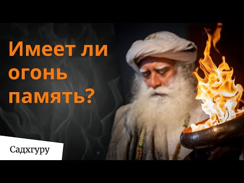 Видео: Как связаны квантовая физика и Йога?