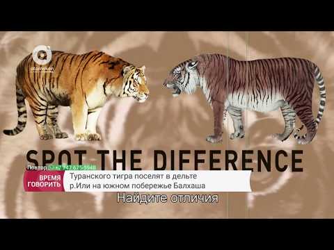 Видео: Время говорить - Туранский тигр (28.11.2017)