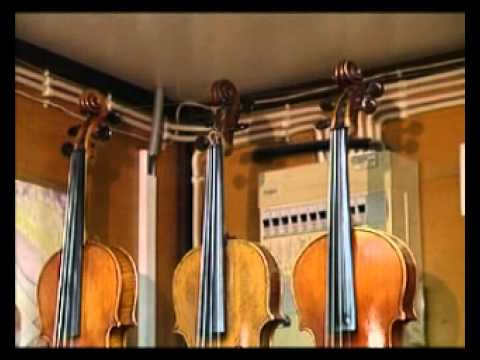 Видео: Музыка 1. Первые музыкальные инструменты. Звучание скрипки — Академия занимательных наук