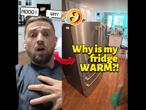Видео: Почему морозилка тёплая и как это исправить!