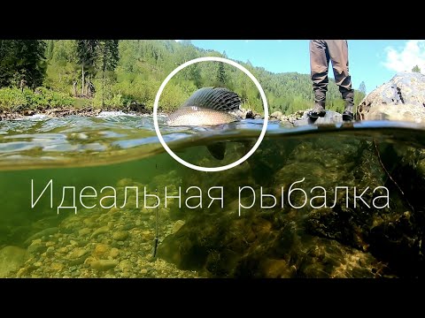 Видео: Рекордный хариус сезона/Рыбалка на горной реке в прозрачную воду - Идеальная рыбалка #2