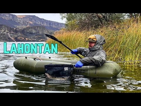 Видео: Lahontans - самая большая форель и мой лучший друг!