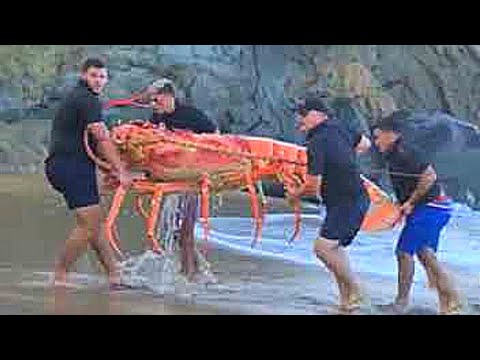 Видео: Эта Находка на Пляже ИСПУГАЛА Всех Ученых! Топ 10