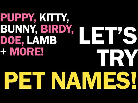 Видео: m4a | полезная игра с питомцами | подборка названий для питомцев — щенок, котик, колобок, птичка ...