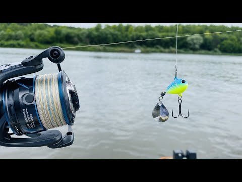 Видео: Ловит СУДАКА ТОЛЬКО ЗАКИНЬ Рыбалка на спиннинг Ловля судака на Оке