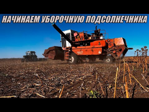 Видео: Комбайн ЕНИСЕЙ 1200 снова в деле! Убираем подсолнечник 2025. Дисковка на МТЗ 80 с АГД 2.5.