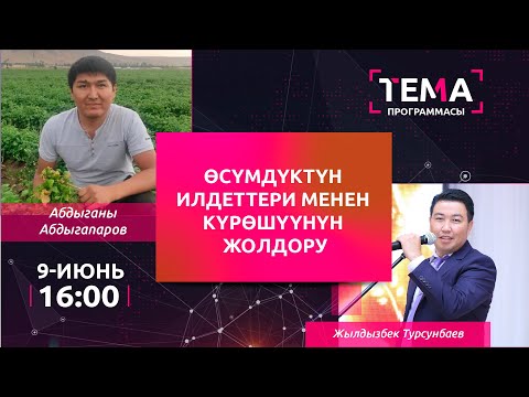 Видео: Өсүмдүктүн илдеттери менен күрөшүүнүн жолдору | ТЕМА