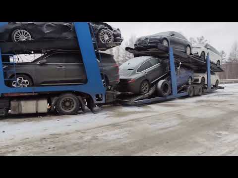 Видео: 4 ноября 2025 г.