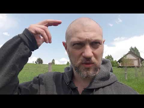 Видео: Как "качаться" с умом. Ответы на вопросы у реки. \ Умный Атлетизм - научный и духовный подход