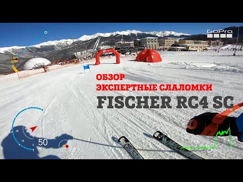 Видео: Стоит ли брать экспертные слаломки? FISCHER RC4 SC тест и обзор | горные лыжи сезона 20-21.