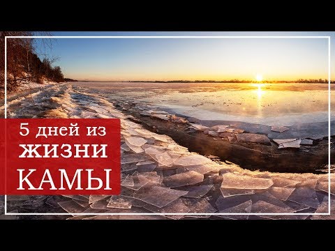 Видео: Пять дней из жизни Камы. Пермь 2019.