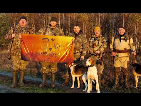 Видео: Охота с гончими. Открытие охотничьего сезона 2025-2026