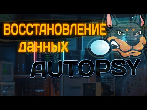 Видео: Восстановление данных в Autopsy. Введение в форензику за 30 минут