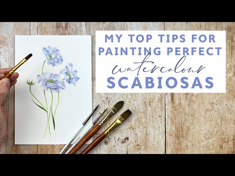 Видео: Мои лучшие советы по рисованию идеальных акварельных скабиоз