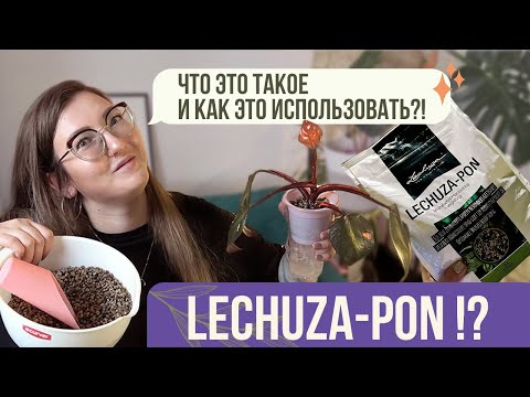 Видео: LECHUZA-PON! Что это такое? Мой первый опыт и результат пересадки монстеры и филодендрона.