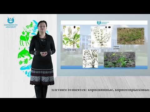 Видео: Комекова Г.К. Сорные растения, их характеристика. Экологическая проблема борьбы с сорняками