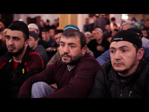 Видео: Кто такой настоящий друг