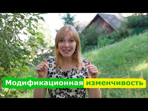 Видео: Биология | Модификационная изменчивость. Типы, значение и примеры