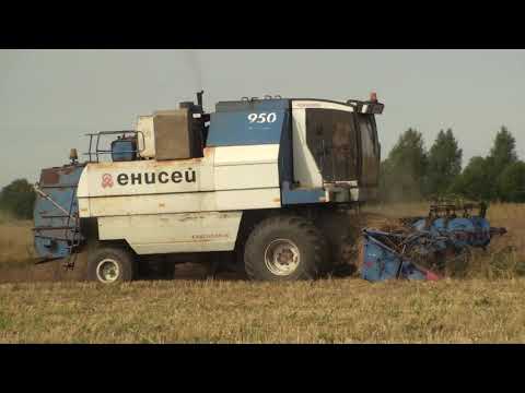 Видео: ЕНИСЕЙ 950 на уборке пшеницы.