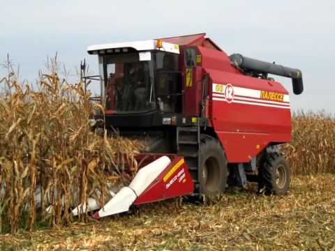 Видео: Очистка технологического тракта ПАЛЕССЕ GS12