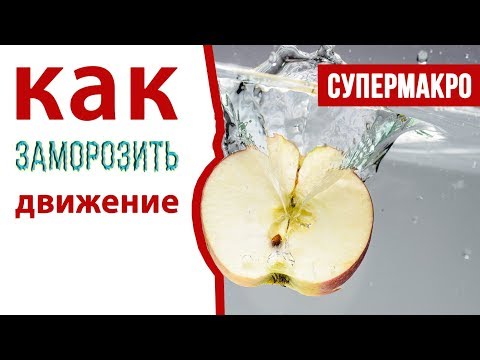 Видео: Как заморозить движение | Видеоурок | Супер макро 5