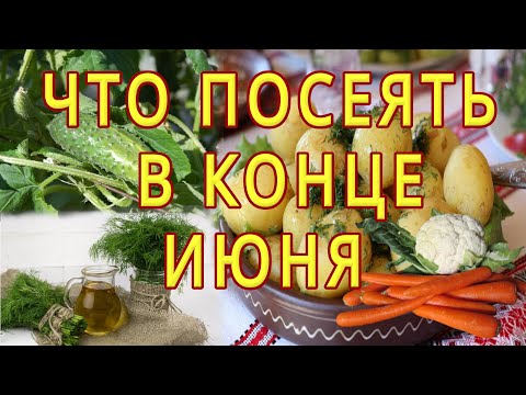 Видео: 🥔ЕЩЁ НЕ ПОЗДНО ПОСАДИТЬ  В КОНЦЕ ИЮНЯ.🥦 ПОТОРОПИТЕСЬ!🧅