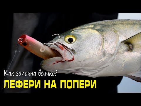 Видео: Как започна всичко? ЛЕФЕРИ НА ПОПЕР