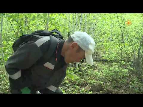 Видео: «Өбүгэ саҕаттан»  (21.08.24)