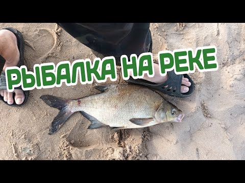 Видео: Рыбалка на реке в грозу. Ловля леща на фидер, 6 августа 2024