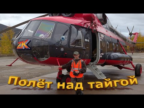 Видео: Полёт над тайгой.