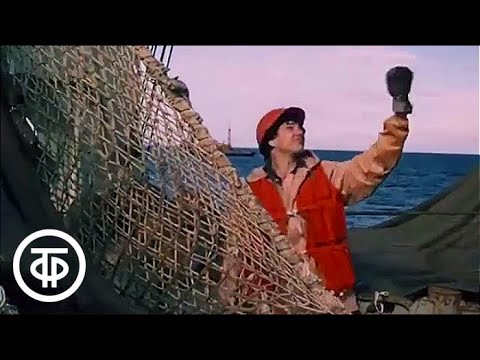 Видео: Встреча с Мурманском (1986)