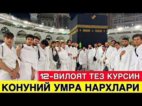 Видео: ХУШХАБАР РАСМАН УМРА ЗИЁРАТИ ТЕЗ КОРИНГ ЯНГИ УМРА НАРХЛАРИ КАТТА ЯНГЛИК ВА ЧЕГИРМА 