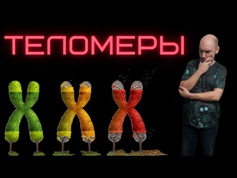 Видео: Что такое теломеры? Душкин объяснит