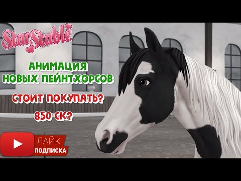 Видео: Анимация нового ПЕЙНТХОРСА в Star Stable Online | Игра про лошадей