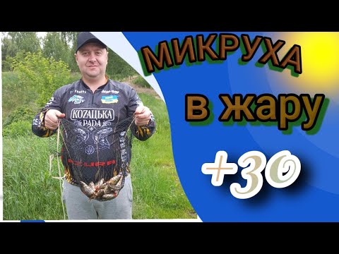 Видео: Микруха в жару  +30