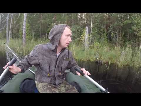 Видео: КАРЕЛИЯ. РЫБЫ НЕМЕРЕНО.ГРИБОВ ПОЛНО.ЯГОДА ТОЖЕ ЕСТЬ часть1