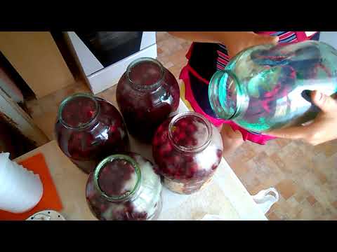 Видео: вишневая наливка часть 1