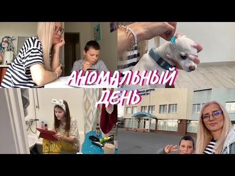 Видео: ВЛОГ. У Добби клещ. У Киры отпал брекет. Скорая для Саши. Нашла наушники.