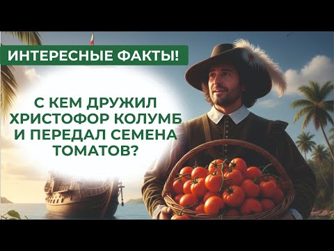 Видео: Лучшие, вкуснейшие сорта на дегустации народных томатов 2025 года! Вручение призов авторам.