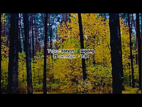 Видео: Forest🌲Qigong 🍁. Доброе Утро друзья! Занятие онлайн ✨летняя группа по рассписанию(среда, суббота)