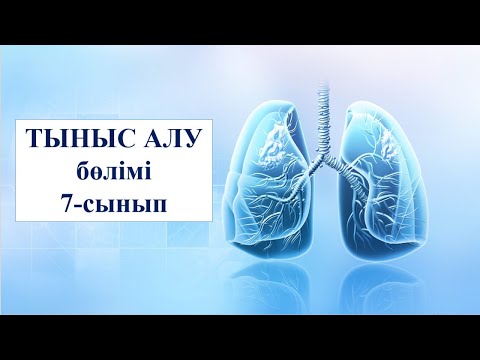 Видео: 7 сынып Тыныс алудың анаэробты және аэробты типтері